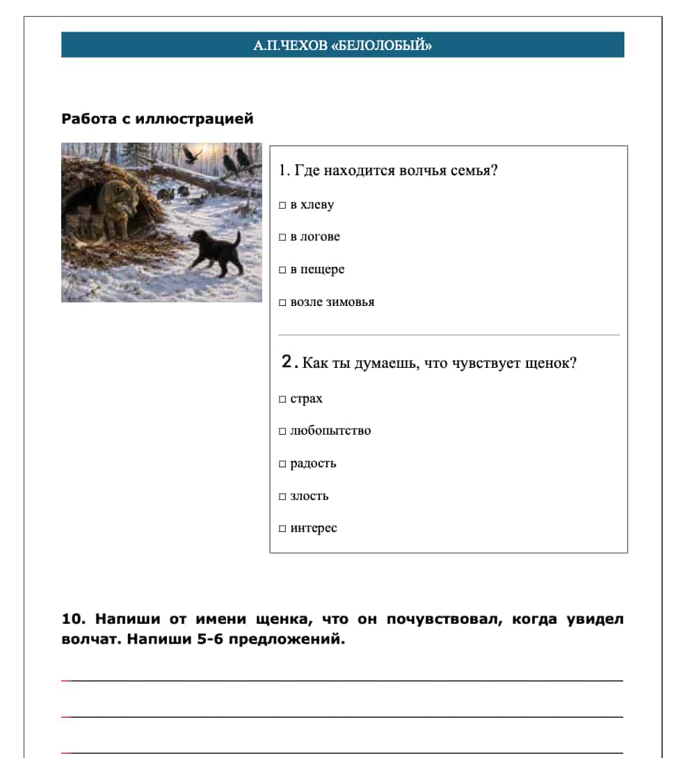 Educational worksheet with a picture of a bear and questions about it.